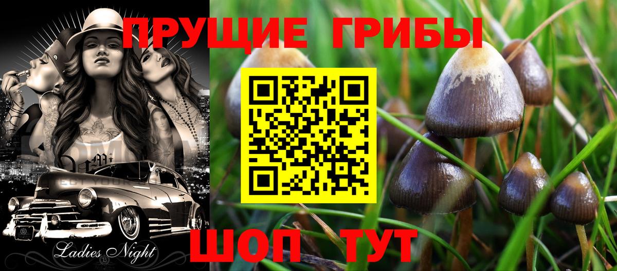 Галлюциногенные грибы мицелий Уссурийск
