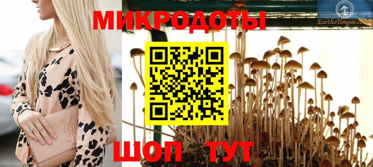 Уссурийск  Галлюциногенные грибы мицелий  Вход с VPN 